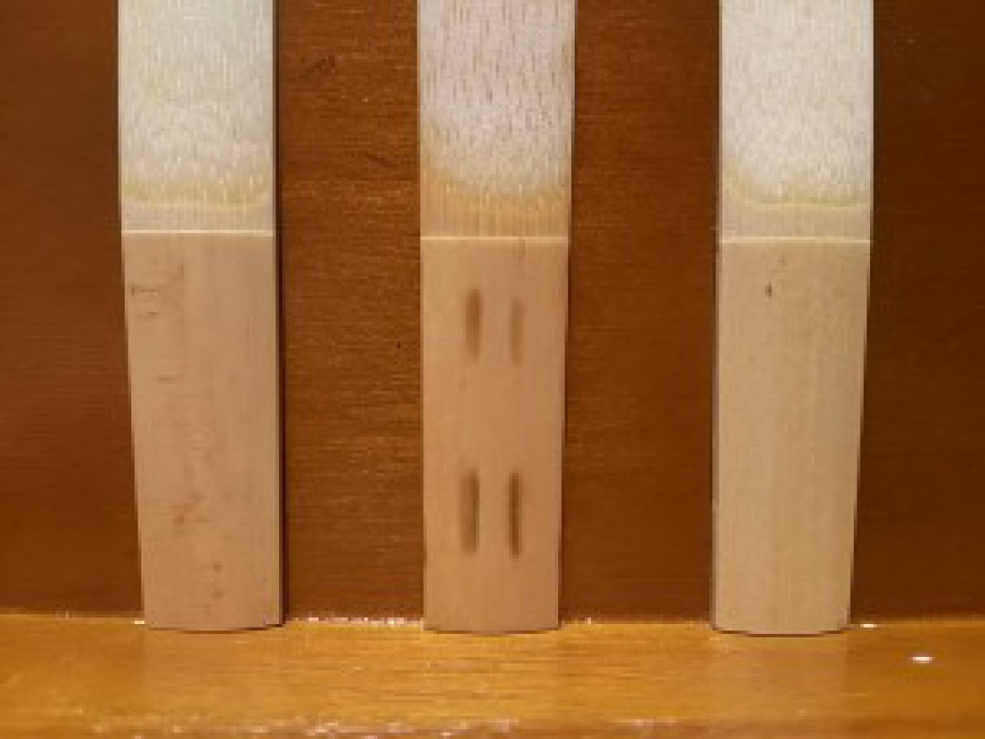 譜面台に並べられた3つのリード